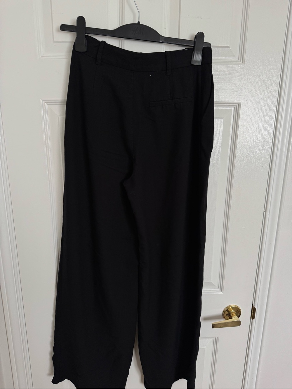 Wide Leg Dress Pants (ZARA)
